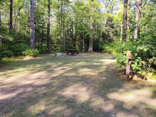A serene campsite in a wooded area, featuring a picnic table and a post with the number 6.