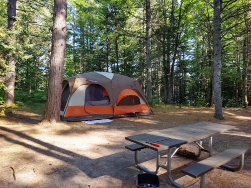 A tent set up in a wooded campsite, with a picnic table nearby surrounded by tall trees.