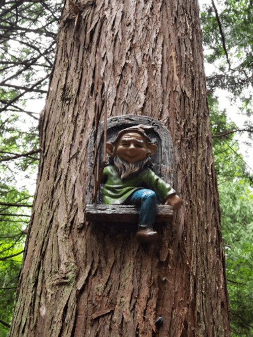 A whimsical gnome figure sits on a tree trunk, surrounded by green foliage.