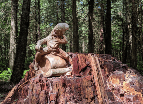 A carved figure of a gnome sits on a tree stump in a lush forest, surrounded by tall trees and greenery.