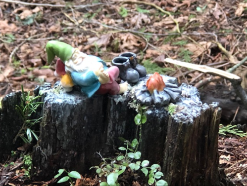 A whimsical gnome figurine resting on a mossy tree stump near a small campfire in a forest setting.