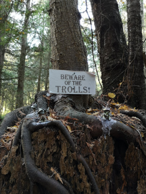 A wooden sign reading "Beware of the Trolls!" attached to a tree with exposed roots in a forest setting.