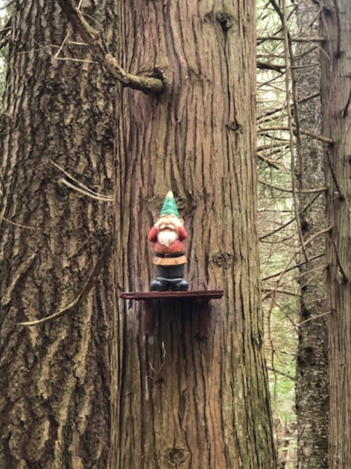 A small gnome statue wearing a green hat stands on a wooden shelf attached to a tree trunk in a forest.