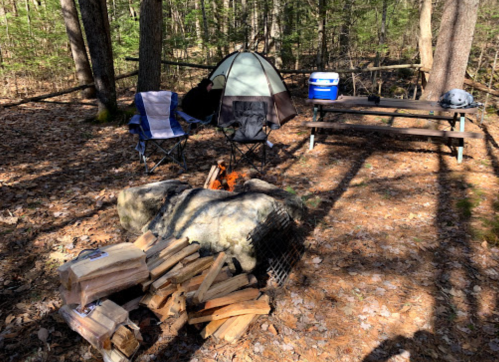 A campsite with two chairs, a tent, a cooler, a picnic table, and a fire pit surrounded by trees and fallen leaves.