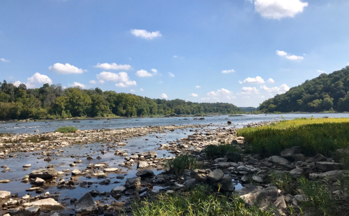 A serene river scene with rocky banks, lush greenery, and a clear blue sky dotted with fluffy clouds.