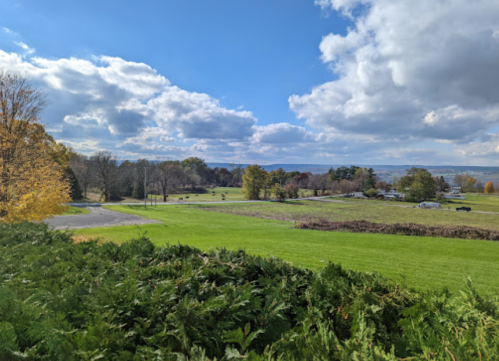 A scenic view of a green landscape with trees, a winding road, and a cloudy blue sky in the background.