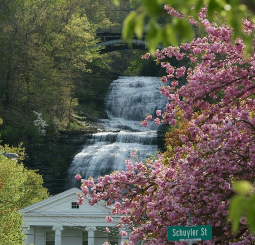 A scenic view of a waterfall surrounded by lush greenery and blooming pink flowers, with a street sign for Schuyler St.