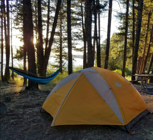 A bright orange tent set up in a forest clearing, with a hammock nearby and sunlight filtering through the trees.