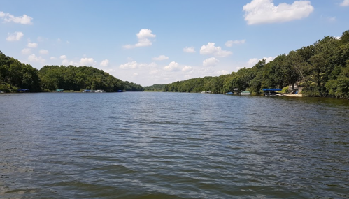 A serene lake surrounded by lush green trees under a clear blue sky with fluffy white clouds.