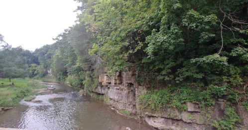 A serene river flows beside a rocky cliff, surrounded by lush green trees and vegetation.