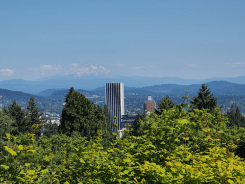 A city skyline with a tall building, surrounded by trees and mountains in the background under a clear blue sky.