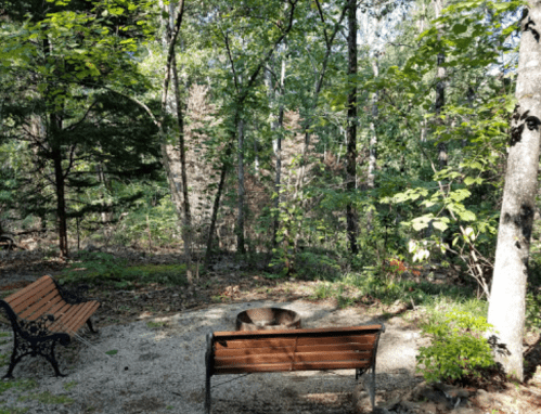 A serene forest scene featuring two benches and a fire pit surrounded by lush greenery and trees.