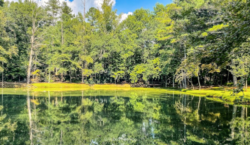 A serene pond surrounded by lush green trees, reflecting the vibrant foliage and blue sky above.