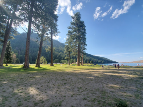 A serene lakeside scene with tall trees, a grassy area, and people enjoying the outdoors under a clear blue sky.