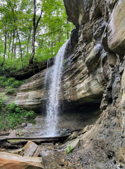 A serene waterfall cascading over rocky cliffs, surrounded by lush green trees and foliage.