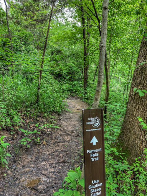 A wooded trail sign pointing to Fairmount Falls Trail, surrounded by lush greenery and trees.