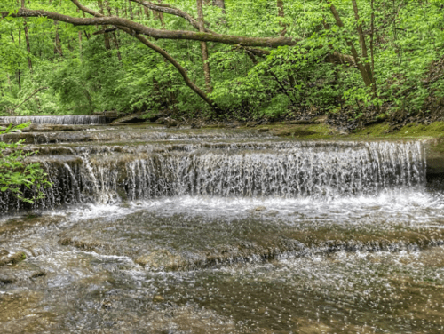 A serene stream flows over rocky steps, surrounded by lush green trees and foliage.