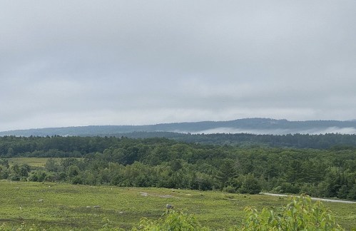 A misty landscape featuring rolling hills, dense greenery, and a cloudy sky.
