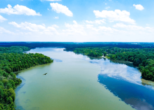 Aerial view of a serene river surrounded by lush green trees under a bright blue sky with scattered clouds.