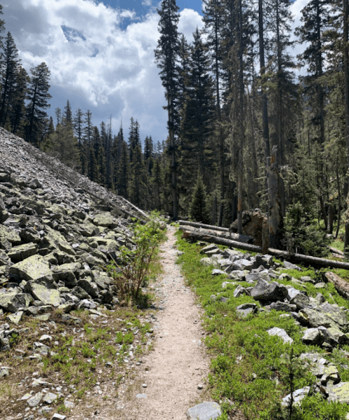 A narrow dirt path winds through a forest of tall trees and rocky terrain under a partly cloudy sky.
