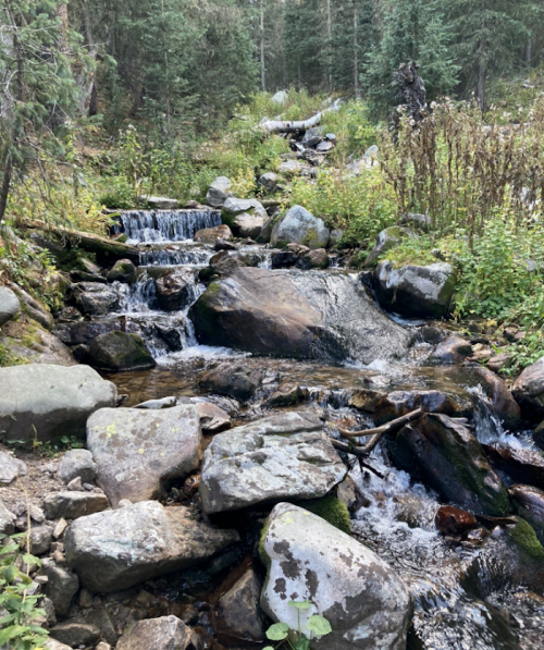 A serene stream flows over rocks, surrounded by lush greenery and trees in a peaceful natural setting.