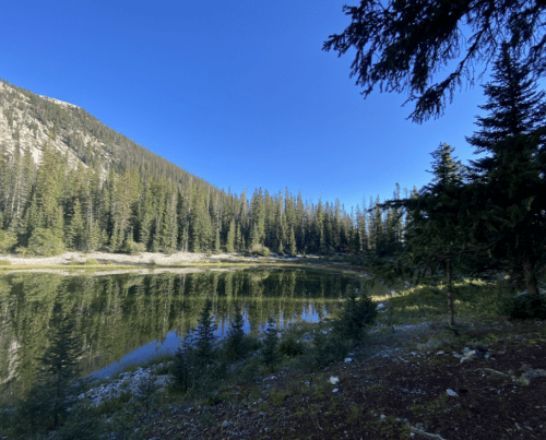 A serene lake surrounded by tall pine trees and mountains under a clear blue sky. Reflections shimmer on the water's surface.