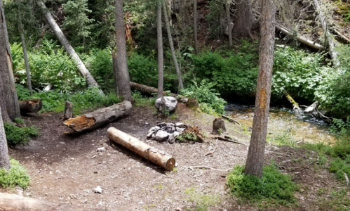 A serene forest clearing with a fire pit, logs, and lush greenery near a small stream.