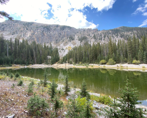A serene lake surrounded by tall trees and rocky mountains under a partly cloudy sky.