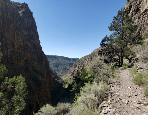 A narrow canyon with steep rocky walls, a clear blue sky, and sparse vegetation along a dirt path.