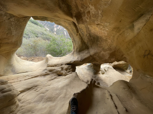 View from inside a cave, showcasing smooth rock formations and openings leading to a lush, green landscape outside.