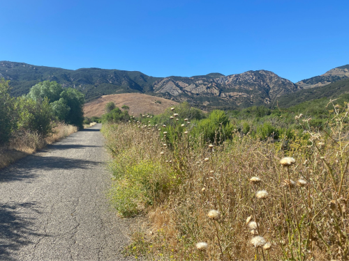 A scenic pathway lined with wildflowers, leading towards rolling hills and mountains under a clear blue sky.