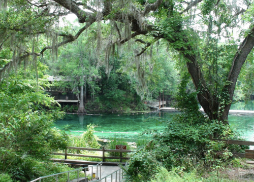 Lush green landscape with a clear blue-green river, surrounded by trees and wooden walkways.