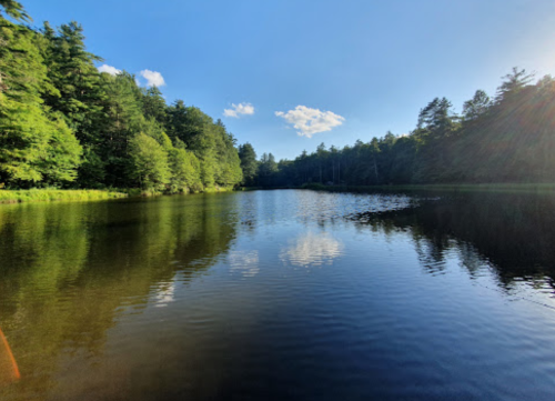 A serene lake surrounded by lush green trees, reflecting the blue sky and clouds above.