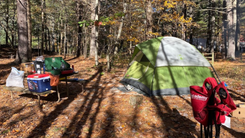 A green tent set up in a wooded area with picnic tables and camping gear scattered around on a bed of fallen leaves.