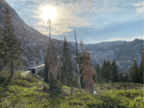 A scenic view of mountains and trees under a bright sky, with a road visible in the distance.
