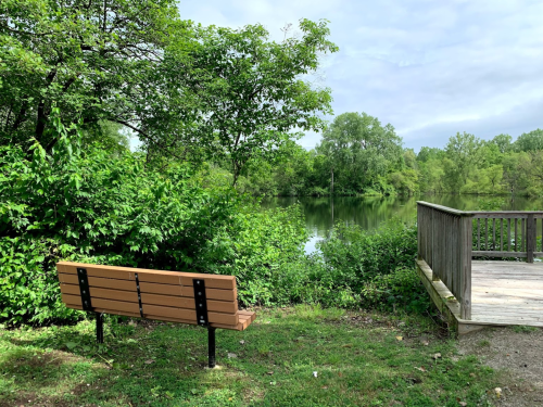 A wooden bench beside a calm lake, surrounded by lush greenery and trees under a cloudy sky.