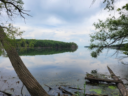 A serene lake surrounded by trees, reflecting the cloudy sky and lush greenery on the water's surface.