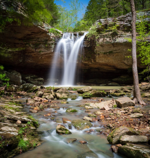 A serene waterfall cascades over rocks into a clear stream, surrounded by lush greenery and sunlight.
