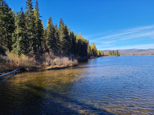 A serene lake surrounded by trees with autumn foliage under a clear blue sky.