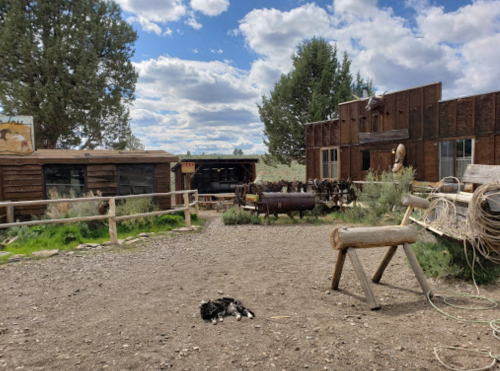 A rustic outdoor scene featuring wooden buildings, a gravel path, and a black and white cat resting on the ground.