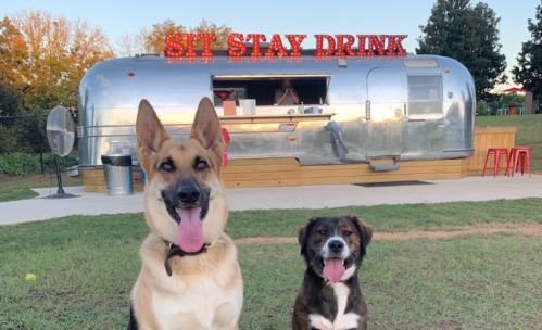Two dogs sit in front of a shiny food trailer with a sign that reads "SIT STAY DRINK" in a grassy area.