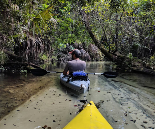 A person kayaking through a narrow, lush, green waterway surrounded by trees and vegetation.