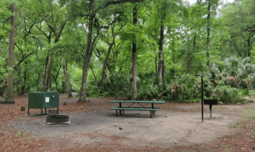 A picnic area in a lush green forest, featuring a table, grill, and trash bin surrounded by trees and foliage.