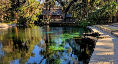 A serene pond surrounded by trees and a rustic cabin, reflecting the vibrant greenery and blue sky.