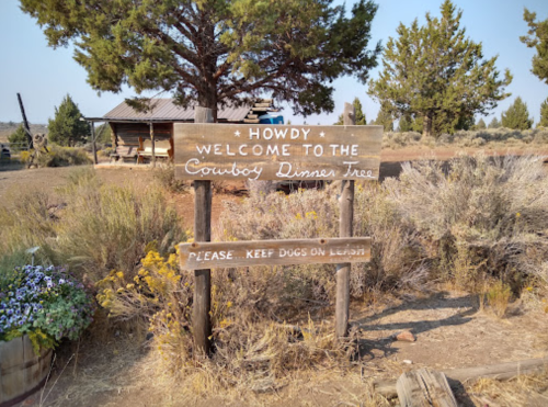 Wooden sign welcoming visitors to Cowboy Dinner Tree, with a note to keep dogs on a leash, surrounded by trees and shrubs.