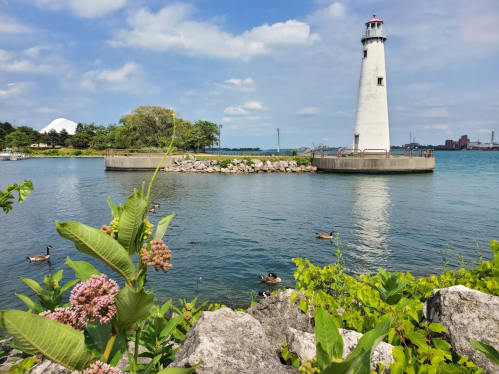 A lighthouse stands on a rocky shore, surrounded by water and greenery, with ducks swimming nearby under a blue sky.