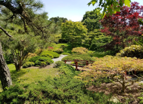 A serene garden with lush greenery, colorful trees, and a small red bridge over a winding path.