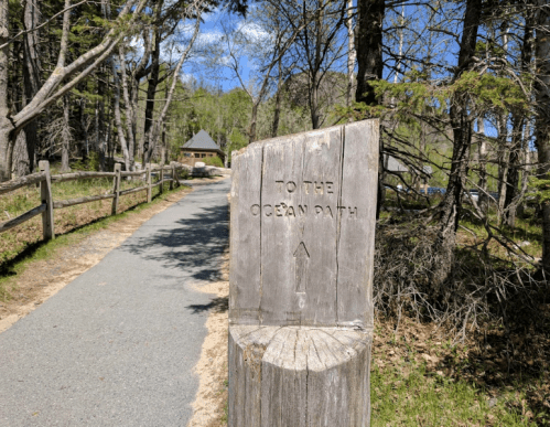 Wooden signpost directing to the Ocean Path, with a clear arrow, along a tree-lined path.