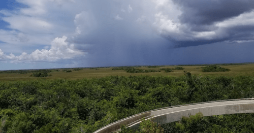 A vast landscape of green wetlands under a cloudy sky, with dark rain clouds in the distance.