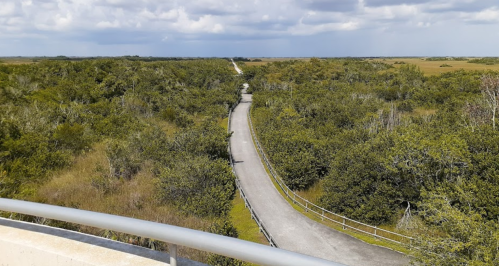 A winding road through lush green vegetation under a cloudy sky.
